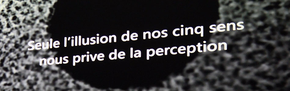 Spectacles du festival Théâtre en Liberté
